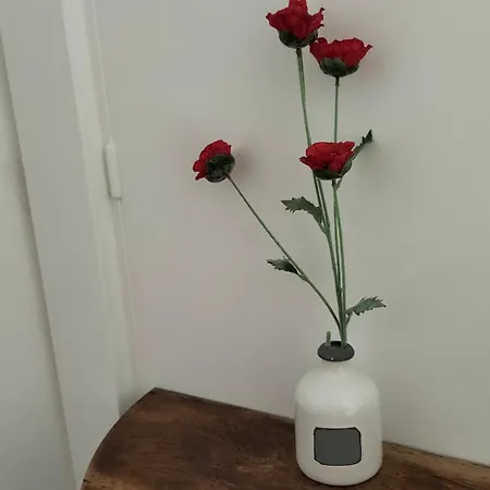 D'hotes - Mas Cinq Sols Bed and breakfast Courbiac