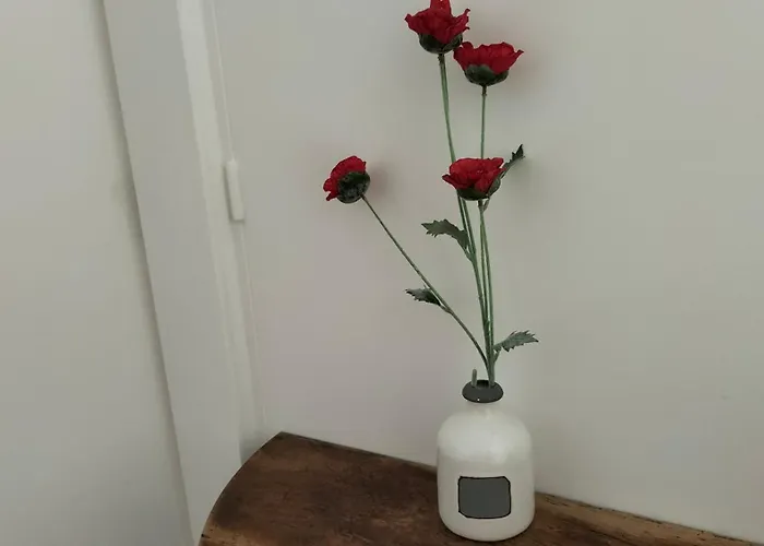 D'hotes - Mas Cinq Sols Bed & Breakfast Courbiac